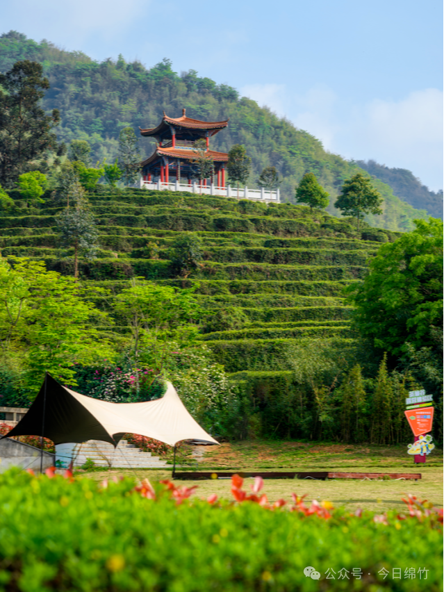 秋假已实锤！不知道去哪儿？来绵竹耍，给你完美攻略……