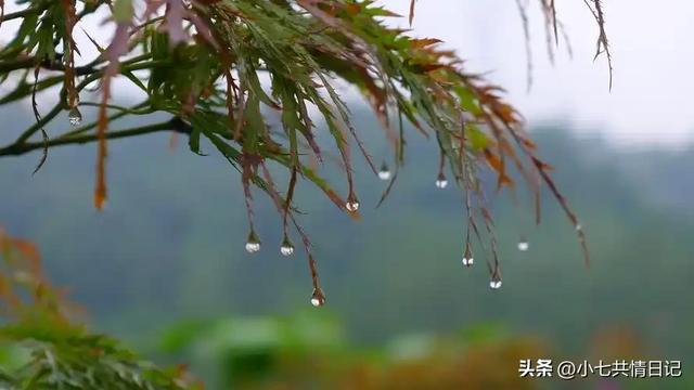 让你瞬间释怀的走心文案，建议永久收藏。