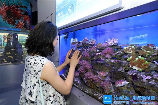 威海：博物馆里的“微缩海洋”，获采风团点赞！