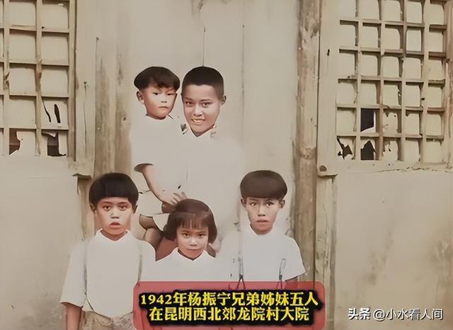 原来杨振宁葬礼当天，93岁弟弟杨振汉到场，透露哥哥一个未了心愿