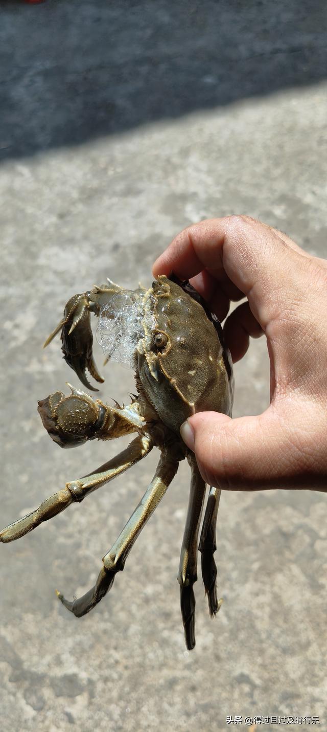 品味鄱阳湖大闸蟹，感受秋天的鲜美