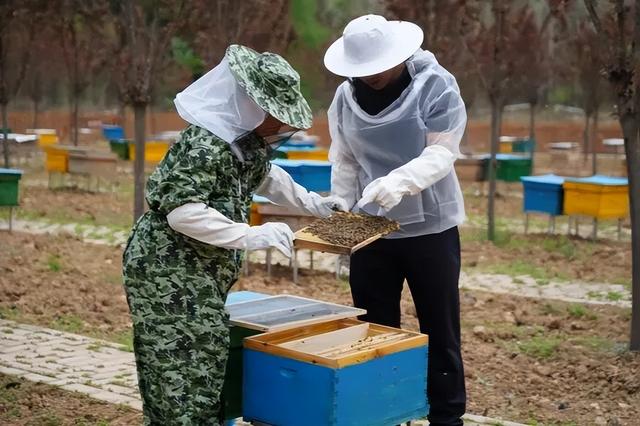 山水藏秘境 文脉贯古今——“走进嘉陵江大峡谷”系列报道（一）