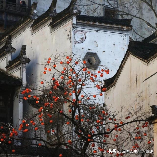 文旅之思：从宰客现象看景区发展