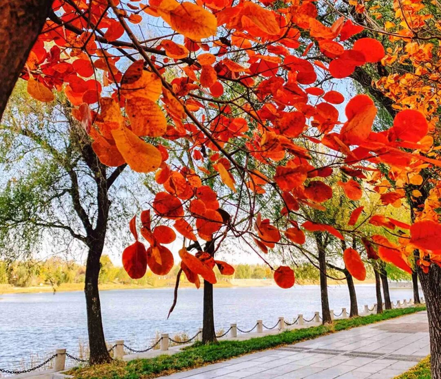 天凉好个秋，露营正当时