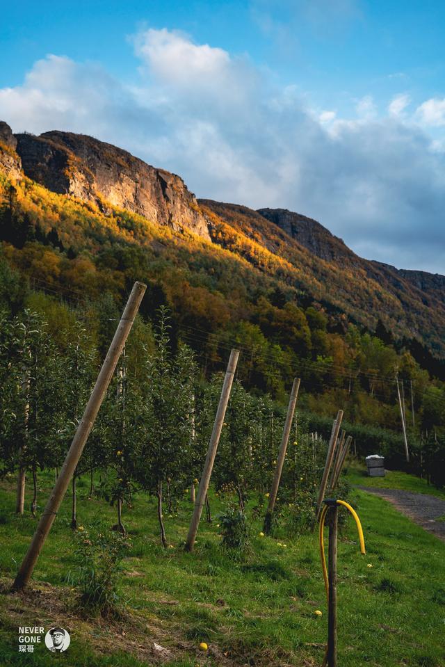 挪威秋韵，峡湾森境