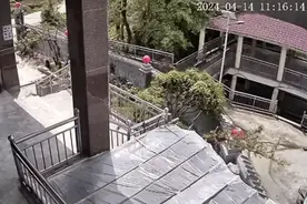 令人揪心！贵州一小孩在家门口玩被毒蛇咬，医生:可能局部坏死图片