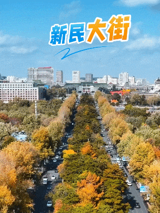 立法护落叶 踏叶赏春城