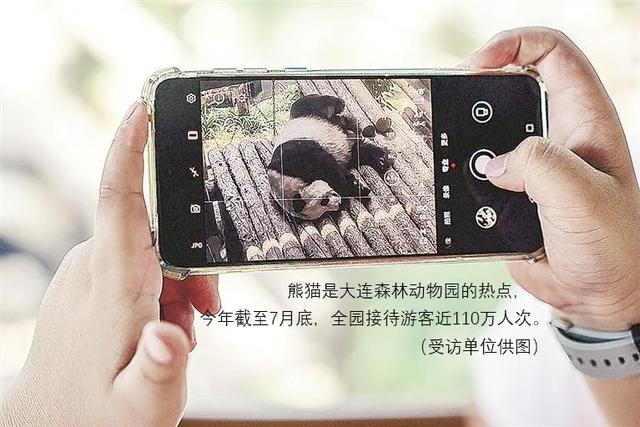 解锁大连“全龄友好型动物园”的隐藏玩法