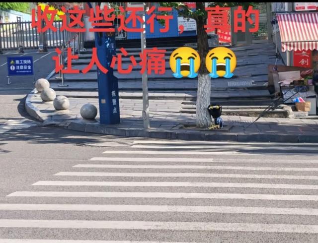 有预感？8岁女孩被撞身亡，前一日妈妈连发七个作品，很爱很爱她