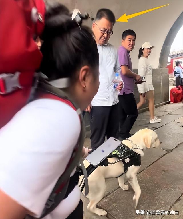 爬泰山的作死夫妻被制裁！导盲犬被收回，身份被扒，家里还有一只