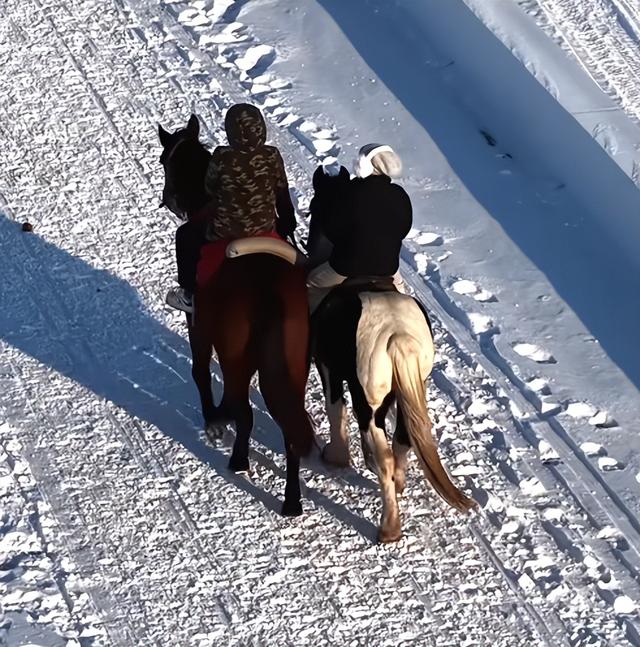 冰上“撒欢儿”指南！超多冰雪游玩项目已就位！