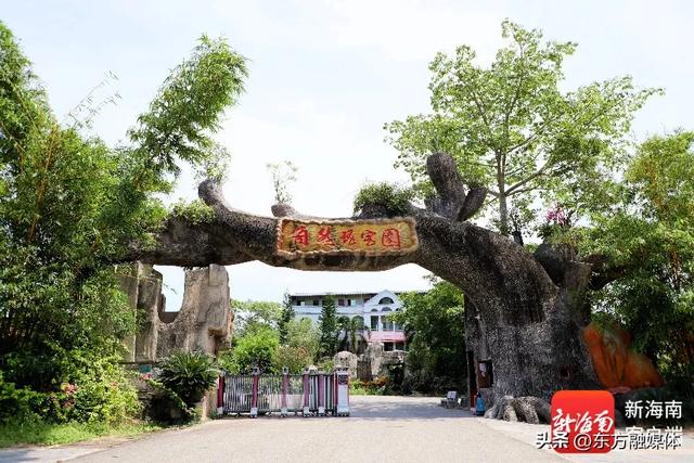 福利+n！周末来东方看“村BA”，吃喝玩购一网打尽！