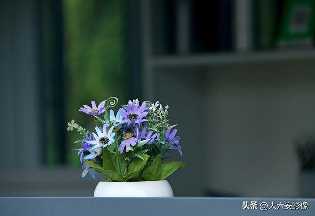 六安：丹桂飘香瓜果甜 山水美景等你来
