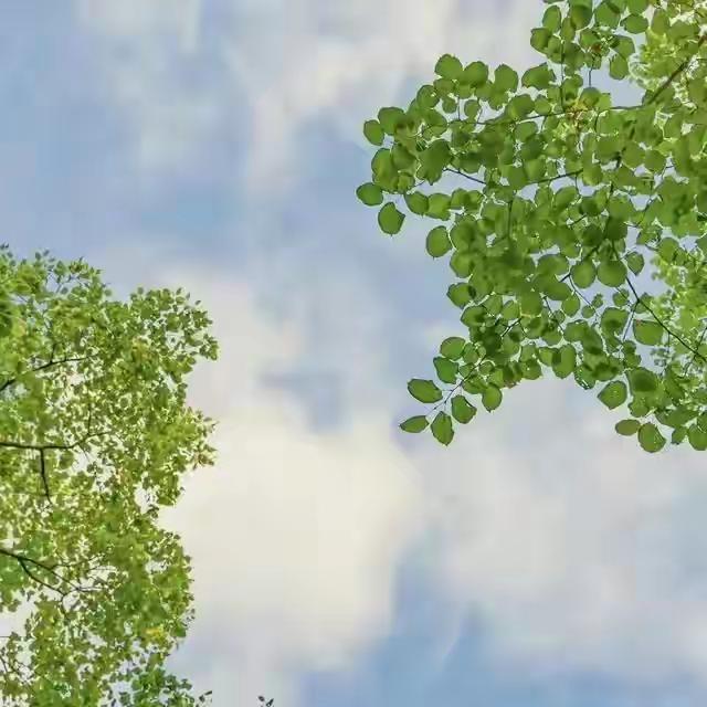 今日文案｜突然被这些话点醒了，绝了！