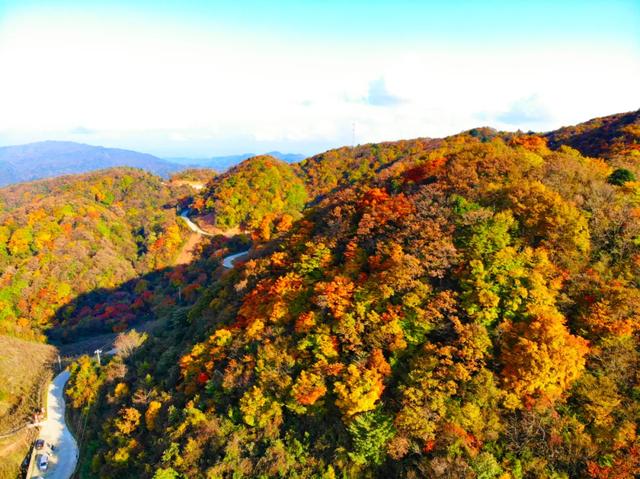 红叶漫山涧！来汉江源，邂逅一抹绝色秋光