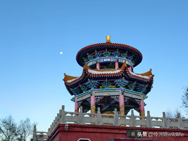 新疆乌鲁木齐红光山大佛寺