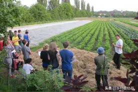 德国多滕费尔德霍夫农场：最成功执行德米特标准的生物动力农场！图片