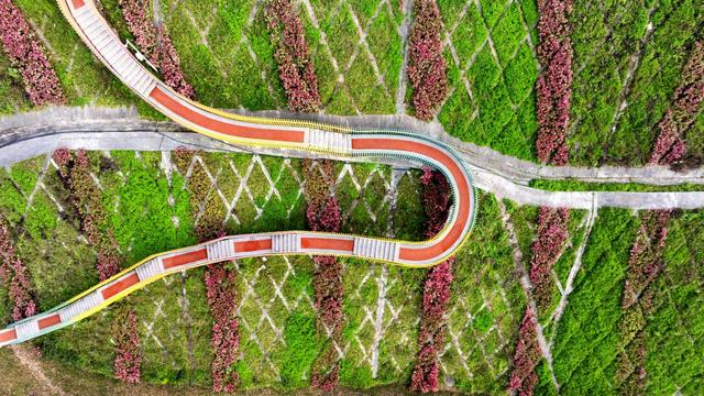 重庆中央公园片区滨水公园+1！包含八大主题景点