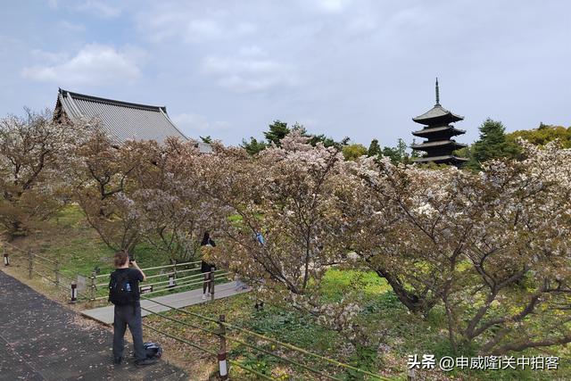 日本京都：走进仁和寺