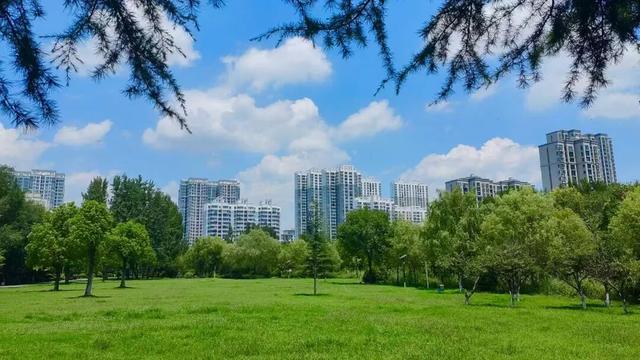 城景相融！城市中的诗意绿洲，来薛城赴一场“穿越时空”之旅！
