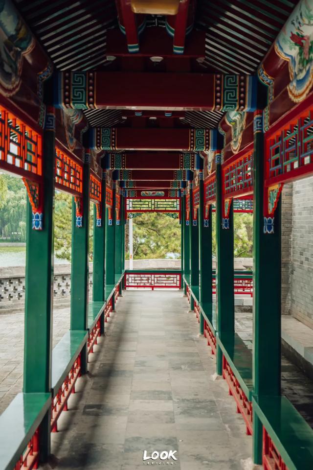 夏天来北京，就为了逛这座公园