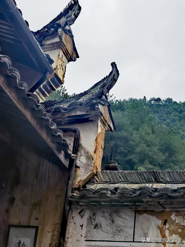 进山寻觅松阳的古村落，结果让我看到了与北方不一样的地方