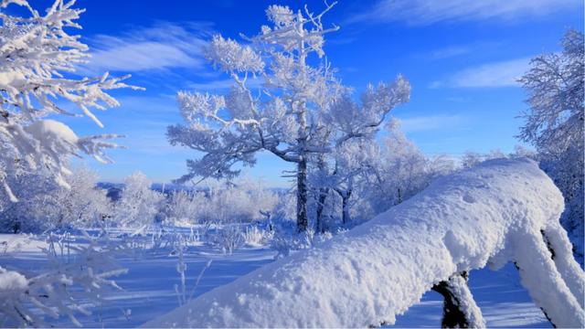 冬季呼伦贝尔海拉尔、阿尔山、满洲里、根河不冻河、漠河、北极村