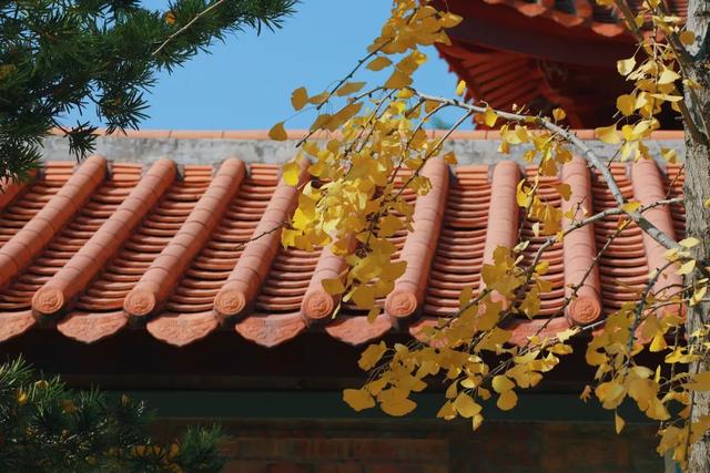 承天寺：藏在市中心的“山林”