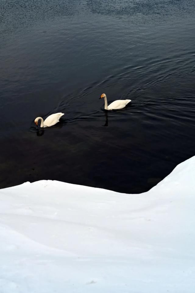 为了这道光，我做了一次疯狂的行动