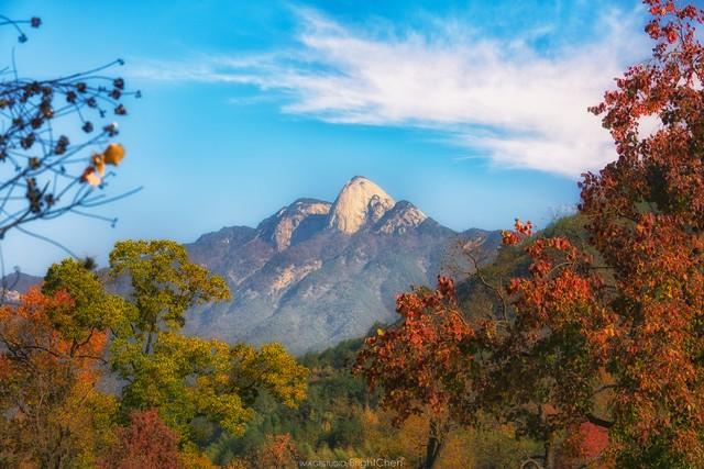 霜降罗田，邂逅中国最美红叶！大别山秋日摄影全攻略