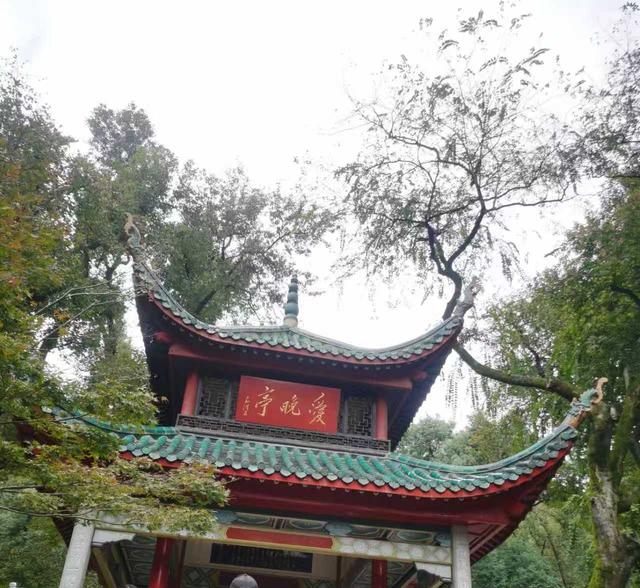 从爱晚亭捡来一枚红叶