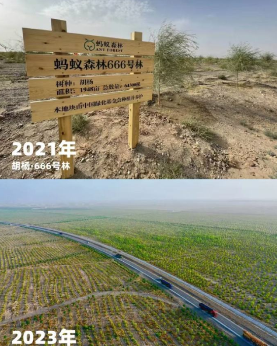 60岁马云近况：时隔6年重返蚂蚁森林，植被茂密，现场大口吃瓜