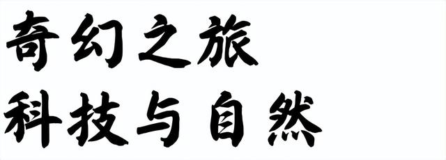 山野拾童趣！带娃来汉中这里，共享秋日亲子好时光~