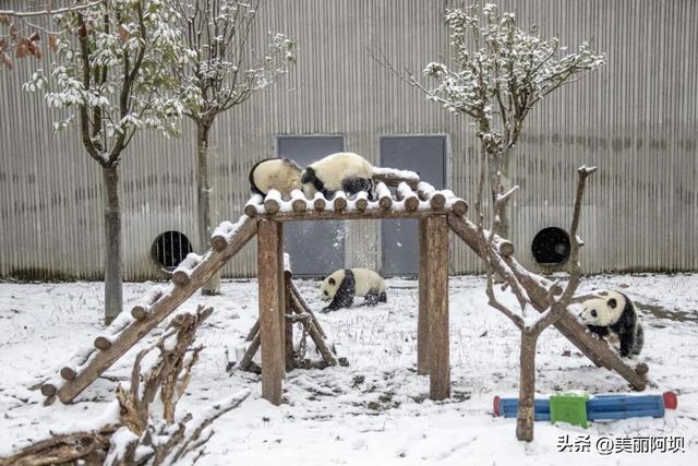 穿越520公里的山河壮阔！这条川西环线也太懂浪漫了！