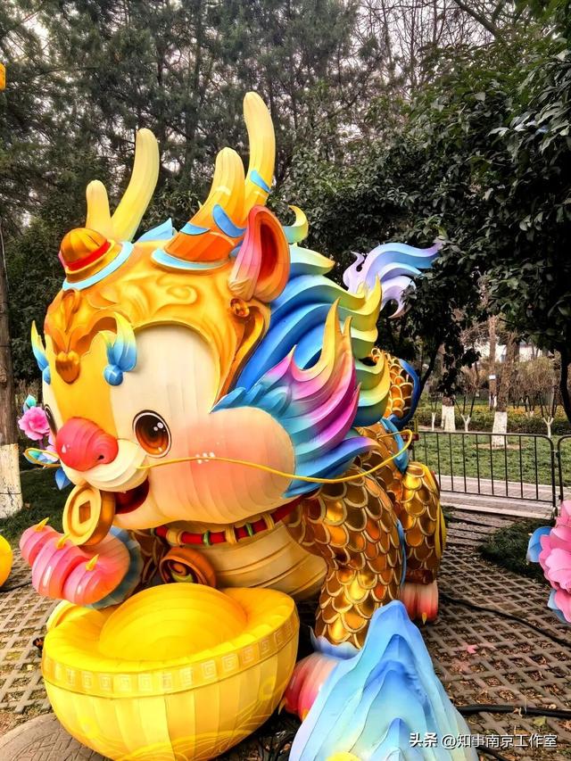 当整个南京都在追光，我在白鹭洲等一场灯与影的相逢