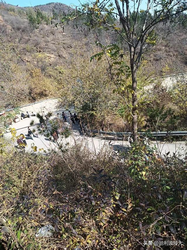 怒征西山公园，立在539.8米的顶峰