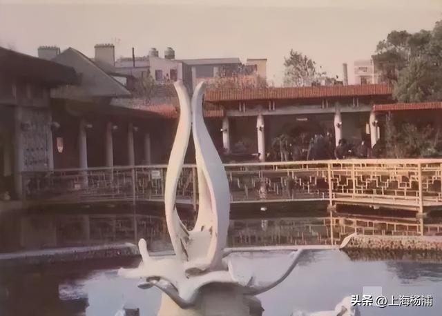 寻迹杨浦，这场Citywalk干货满满