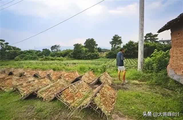认识大美浙江的每个县——第30波：松阳