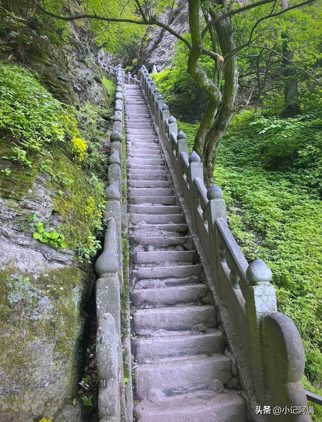 金秋双节游武当：赴一场山水与团圆的道家之约