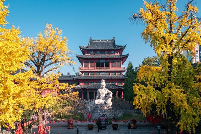 石象路银杏黄了！秋日南京必走的几条经典路线