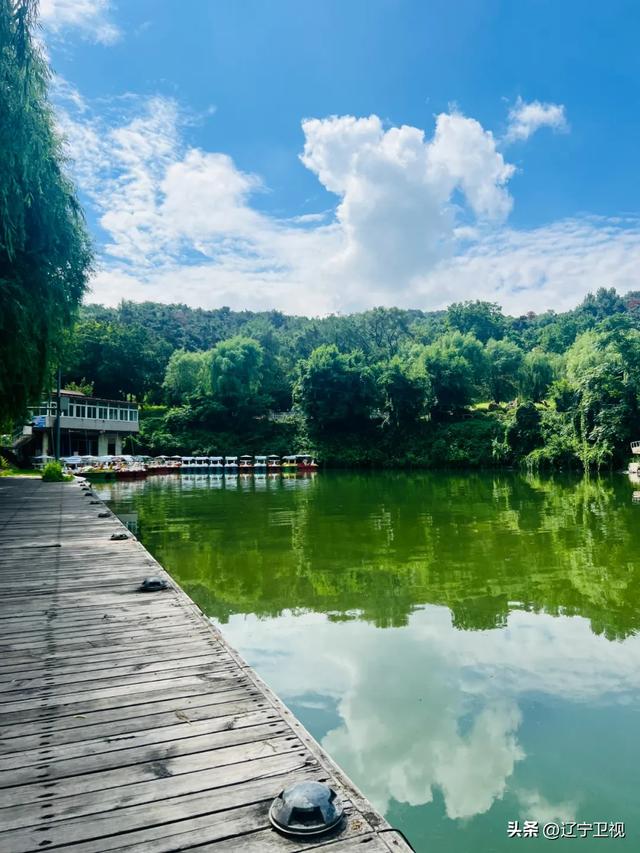 清晨6点的本溪烟火江湖！东北早市的快乐，谁懂啊？