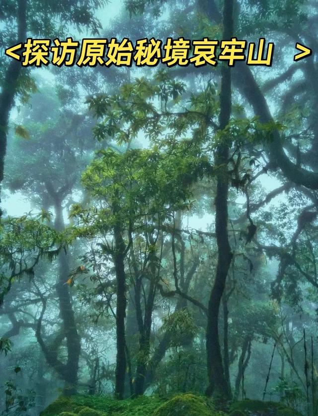 神秘的哀牢山：藏着太多未解之谜，许多人没去过