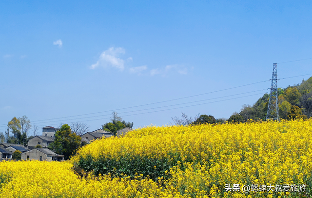 藏在浙江东部的“乡野秘境”，2026宣布免费，可来花海古村之行！