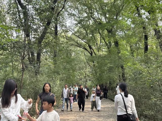 【网络中国节·中秋】人气十足！皇藏峪好热闹！
