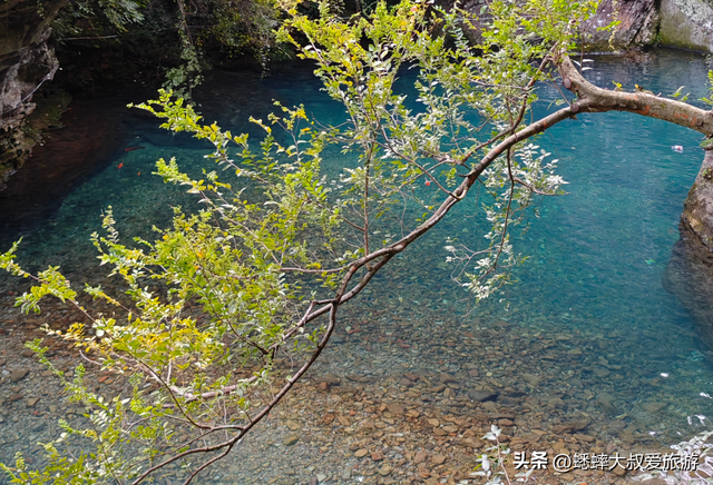 仅限三天，浙江重磅级5A景点免费玩，来山水画中，享受一次吧！