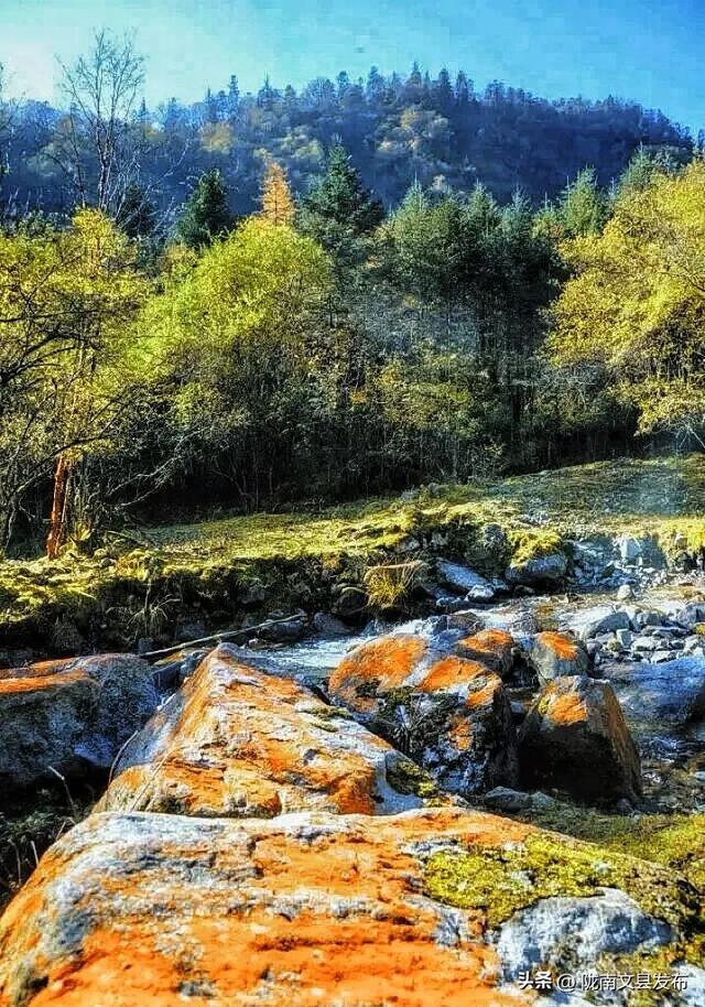 最美秋色：多彩邱家坝