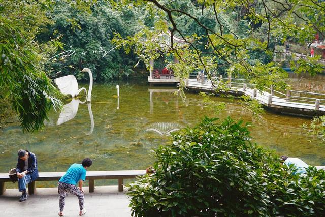贵阳市中心著名的森林公园，还是国家4A级旅游景区，却免费开放？