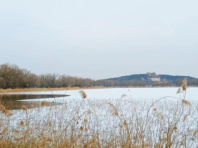 2026年第一场雪！颐和园美成了“雪中冰嬉图”