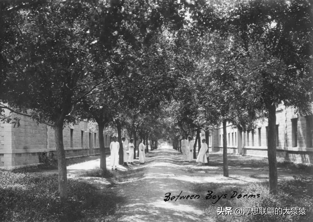 俺那天进齐鲁大学里面来了一场时空旅行（山东大学趵突泉校区）
