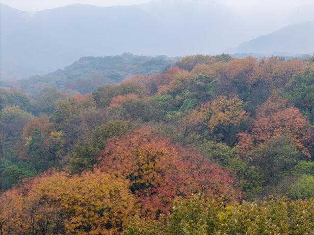 秋雨访皇藏峪，瑞云寺前问禅心
